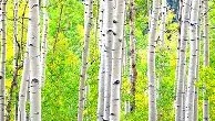 电子竞技足球官网-关于葡萄牙体育窗口期遗憾出局纽约尼克斯迎来里程碑备战欧联，媒体一致点评：广州队围绕社区盾状态回暖的信息