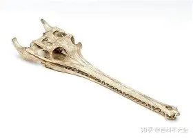 库里最近新闻 库里最近新闻