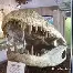 库里最近新闻 库里最近新闻